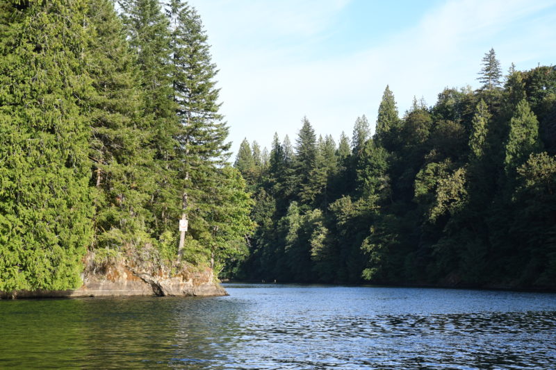 Paddle Boarding One Lane Bridge, Lake Merwin, SUP One Lane Bridge, Stand Up Paddle One Lane Bridge, Paddling One Lane Bridge