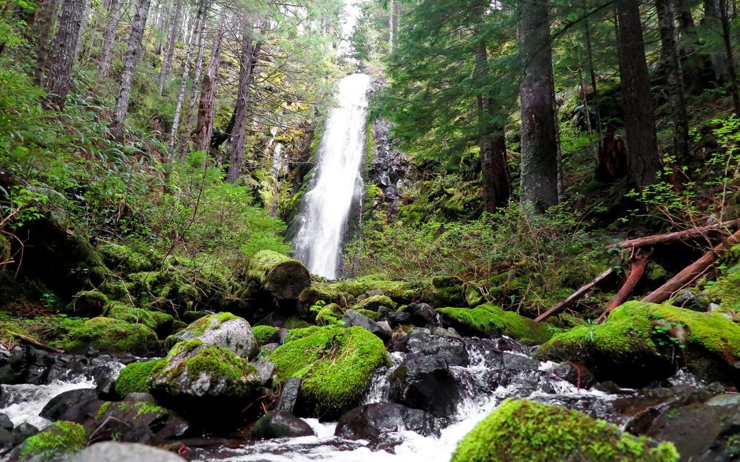 7:30am February 29th Women’s Group Hike Hidden Falls via Tarbell Trail