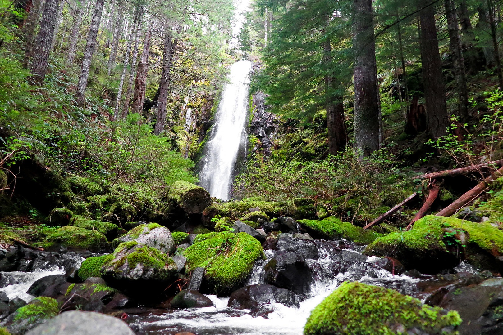 Hidden Falls Via Tarbell Trail