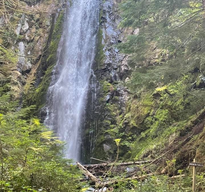 Women’s Group Hike Hidden Falls Via Tarbell September 15th